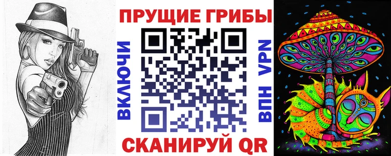 Псилоцибиновые грибы Psilocybine cubensis  блэк спрут как войти  Кулебаки 
